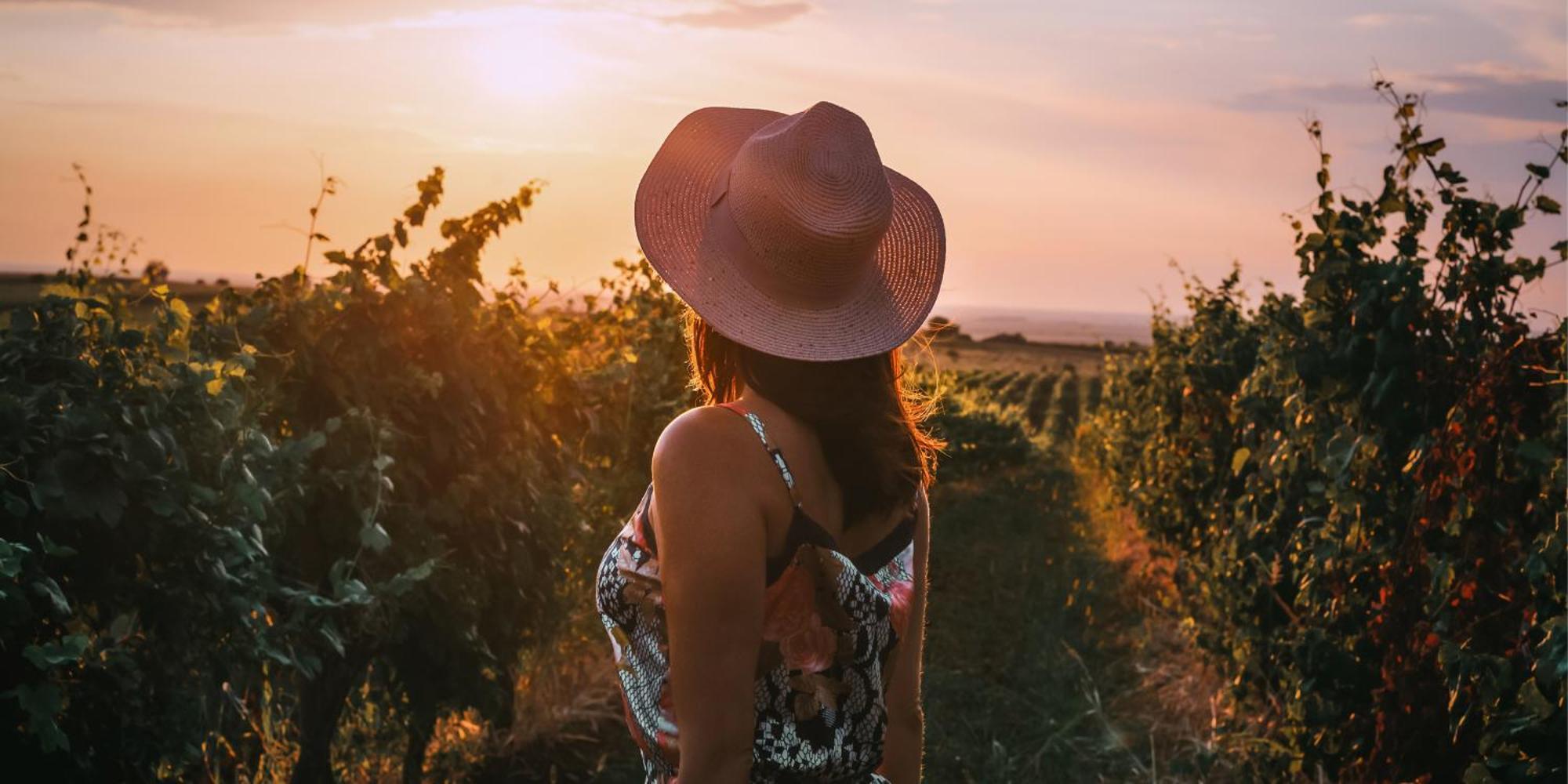 Minaro Hotel Tokaj - Mgallery Collection (Adults Only) Eksteriør bilde Sunset in the vineyards of the region